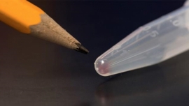 16 GB tri thức nhân loại đang chứa trong ống nghiệm nhỏ này